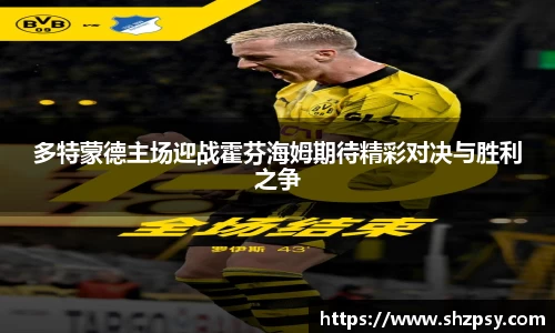 中欧体育