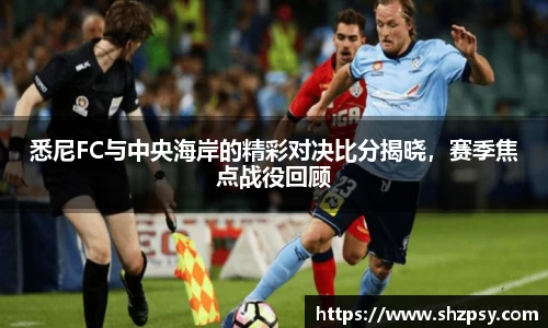 中欧体育